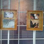 Les Affiches de Venise en Vitrine